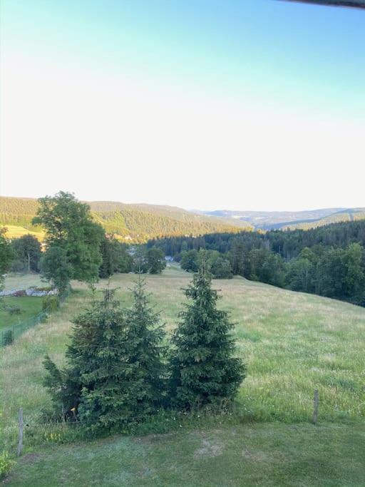 Appartement Lumineux Avec Vue Sur Les Montagnes Morbier Exteriér fotografie