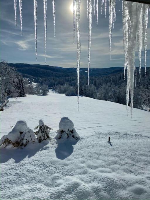 Appartement Lumineux Avec Vue Sur Les Montagnes Morbier Exteriér fotografie